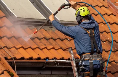 Démoussage et hydrofuge de toiture à Amplier
